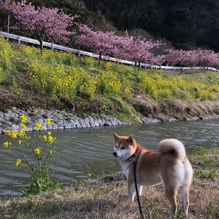 2600a7df 9344 462d baa9 760fca97a6df 1552119677445