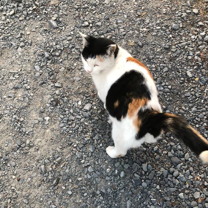 2600c503 9581 43c0 8245 35da4e9f559c 1604874500705