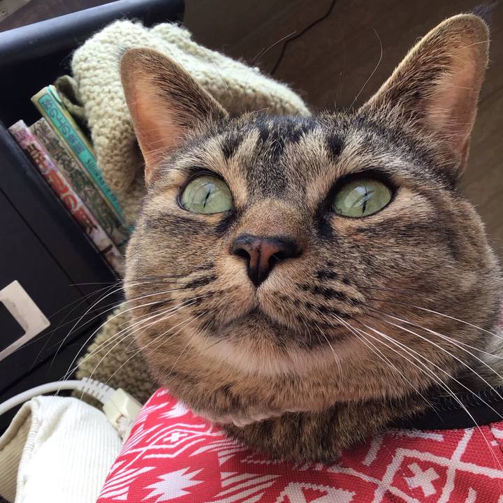 2600e02d 4f2f 4bfb aa93 ddef3d1aae5c 1712985971246