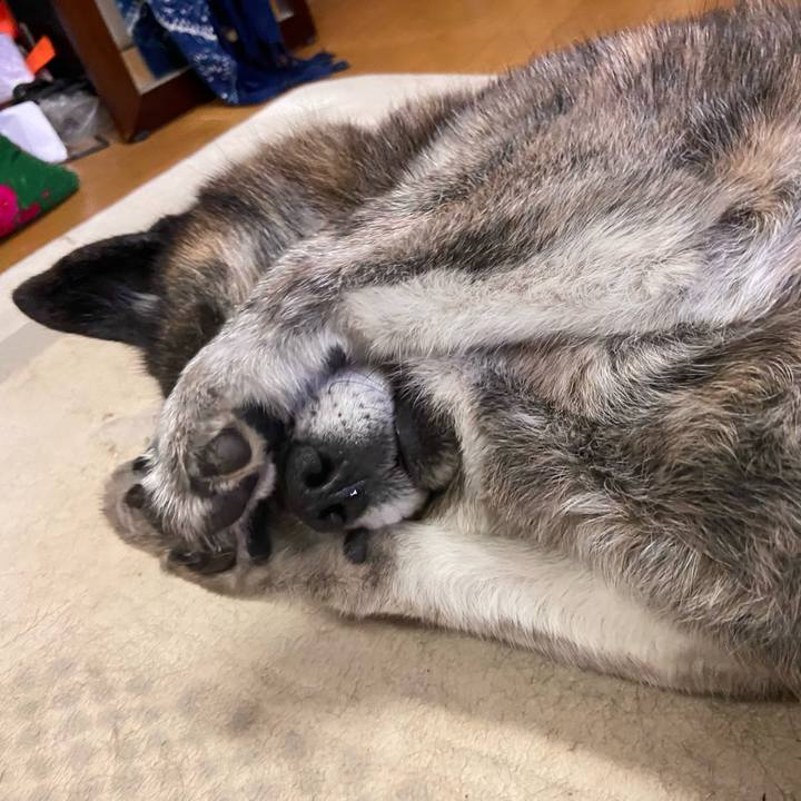 2600fa89 40c6 4301 9c59 bd8a0aecb601 1676184152757