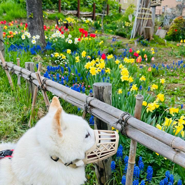 260101ff 57ce 468b baac bd7603416f8b 1715461512760