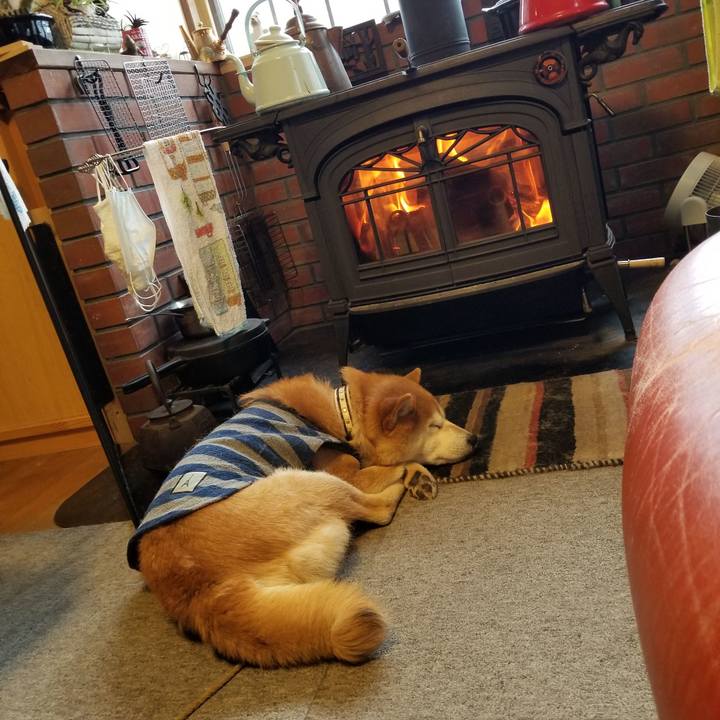 260140cf 19ed 4335 8d4c 621684506618 1612651356169