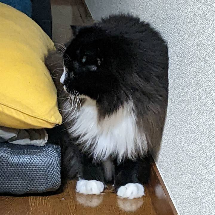 260145ad 5668 4183 a01b 164f02224f88 1668428112701