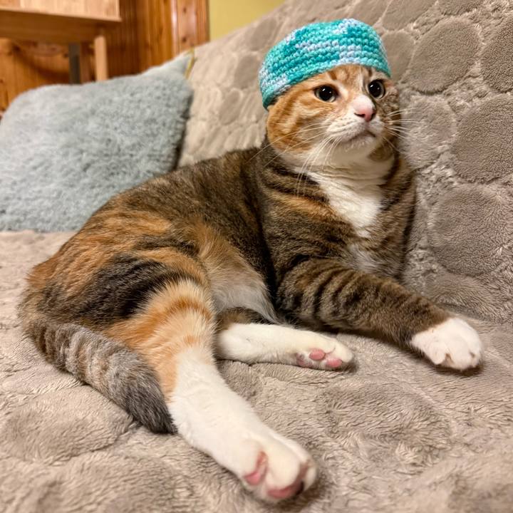 260168df 2518 44f5 bb10 b4f600ba2926 1770437763001