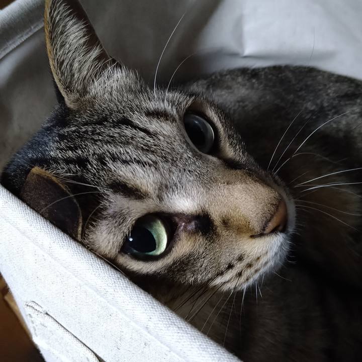 26016f0e a29d 4d67 97ab 89aea5e53970 1661845871671