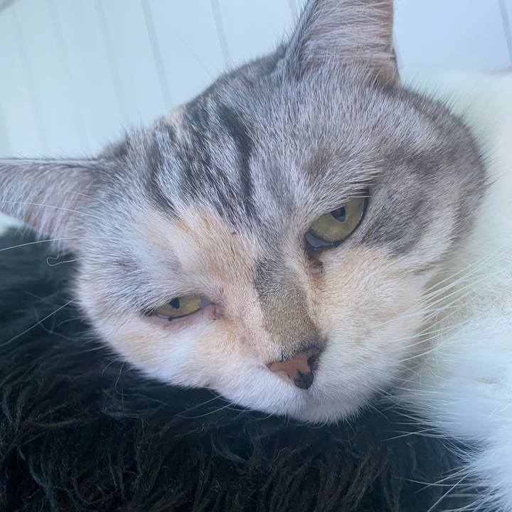 26018096 d877 4092 a6bf dab97b163d25 1664072485099