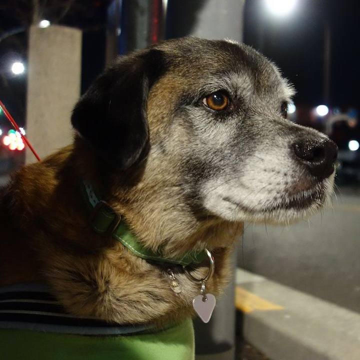 2601b195 11e2 47bf 96d4 ef5e72b357fe 1515841674561