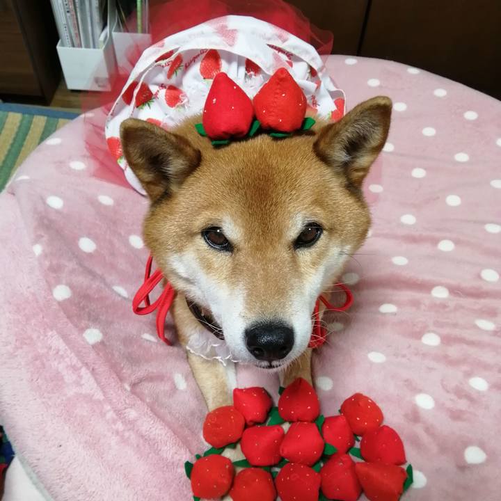 2601bd93 6a54 4bec 9b1e 3217b2d40f3b 1610716147864