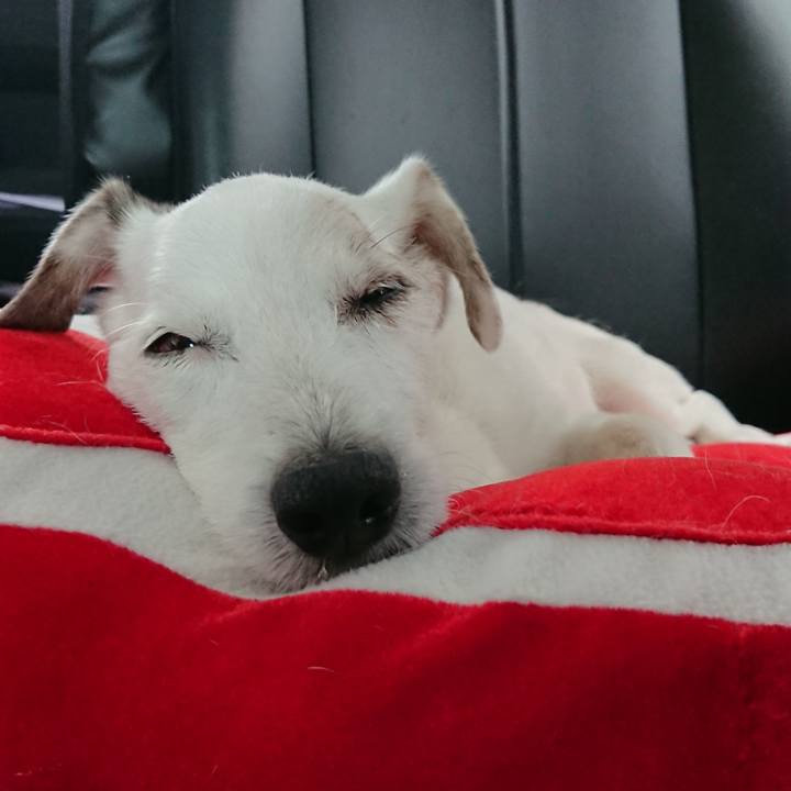 2601e9e6 ddd8 4ced a9db 066c8bd0740e 1601020878828