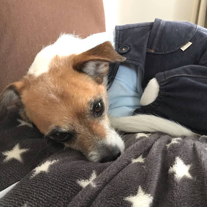 26022eb9 7b56 401f 8c7d cc3185a0b1f4 1553562572635