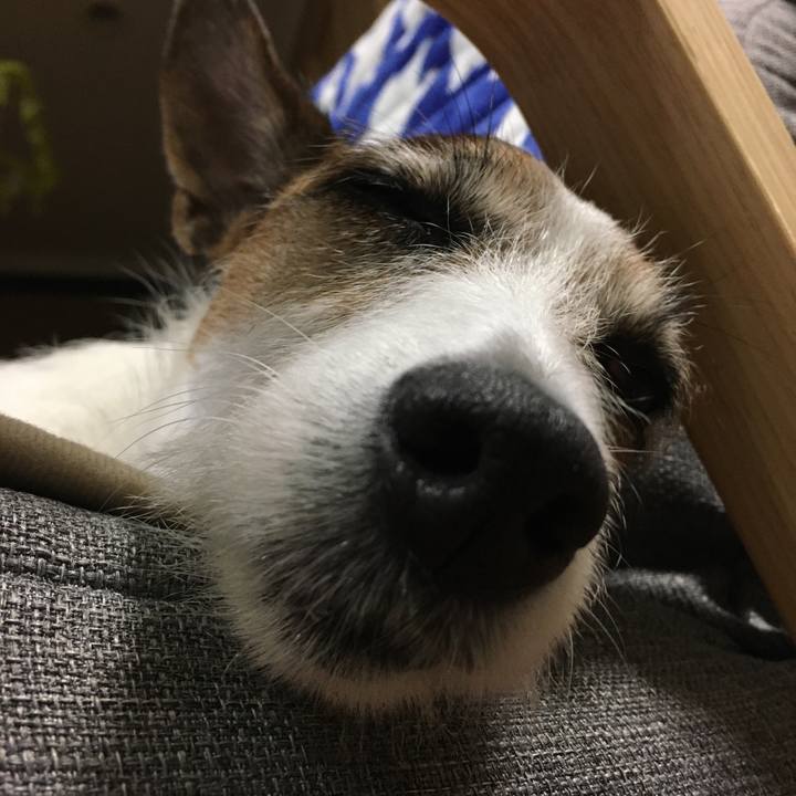 26024754 1240 41ff 8f62 6f904fdea3c3 1573702053168