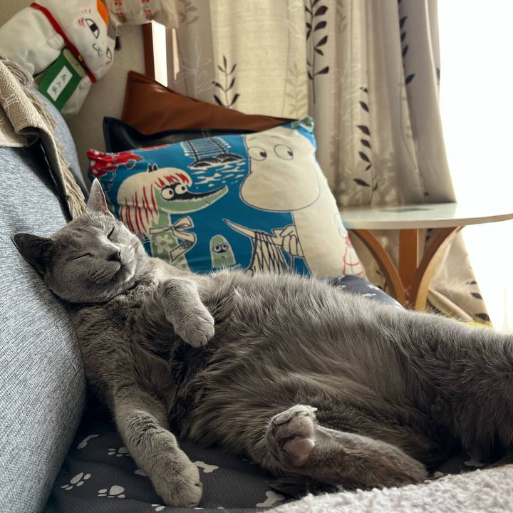 26027aab 8fe9 403c 842e 15beb10d3620 1700518677854