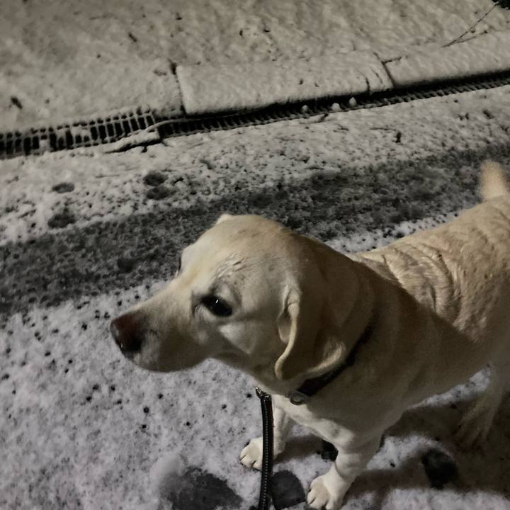 26027dbe 7704 40ff a514 01b202f04b8e 1707132798437