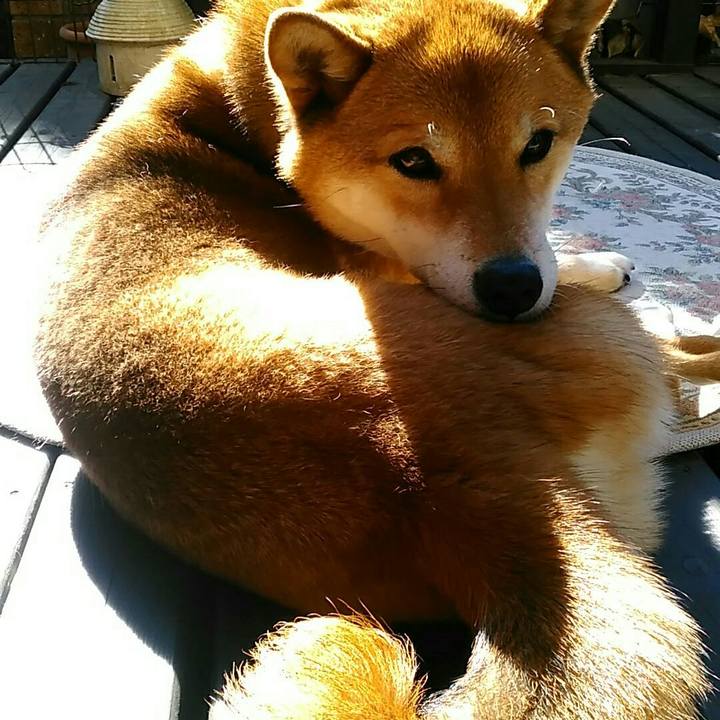 26029527 9554 4bac 82cf 1a1b74ab75fb 1549939743934