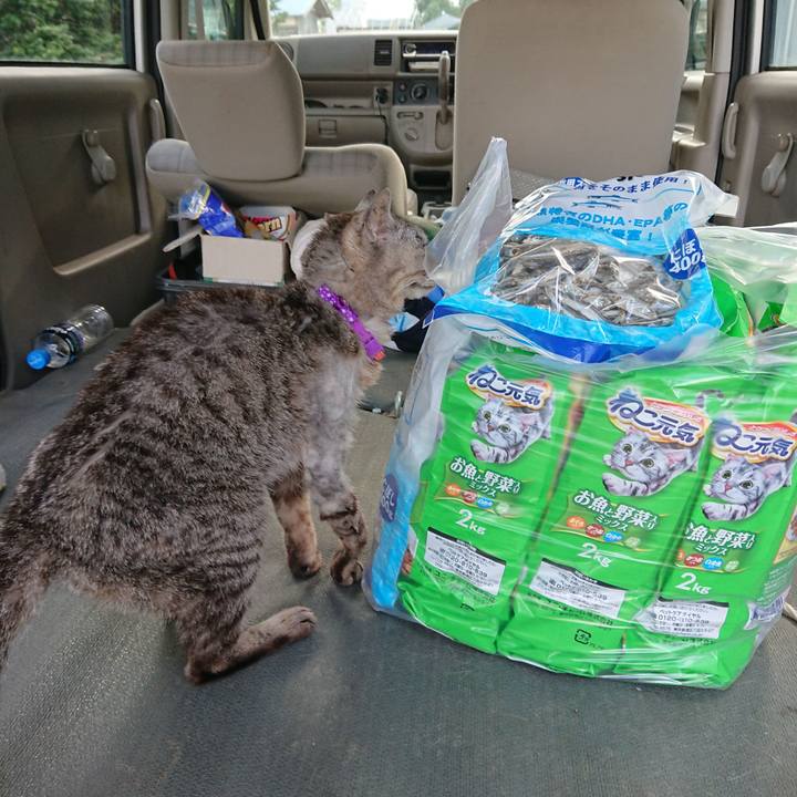 26029620 4fdf 4630 9453 88bdb96d0c60 1593681870123