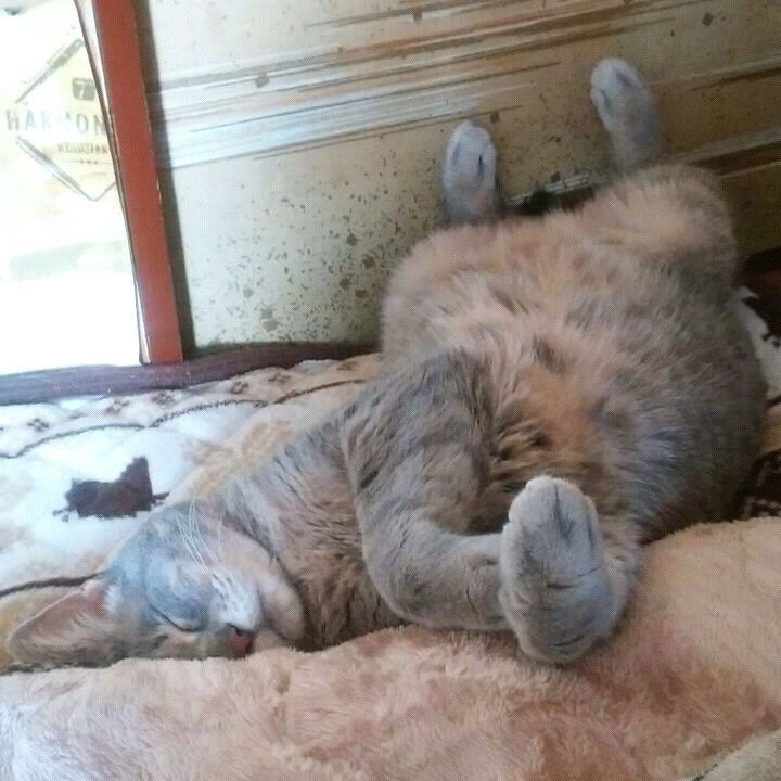 2602e926 459d 4f1b 9952 38a94a187d1e 1573127930397