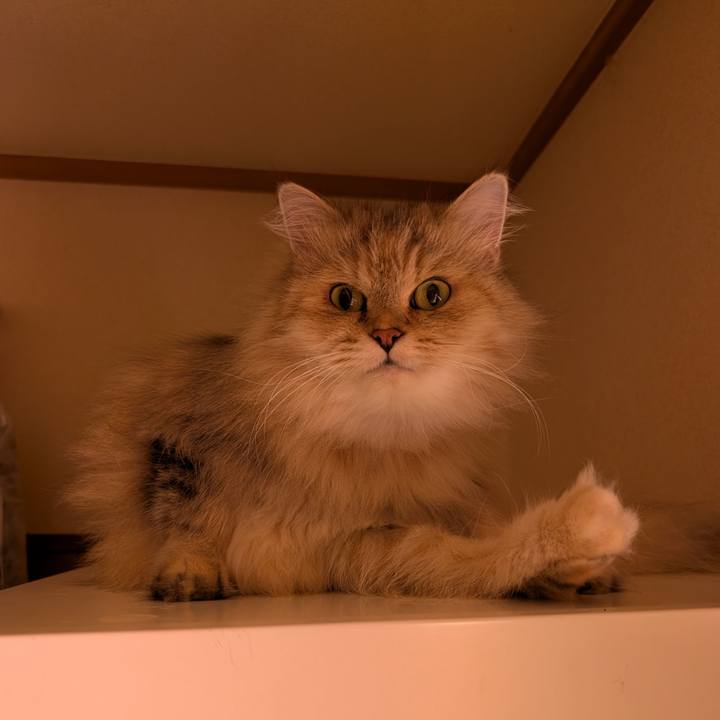 2603388b c2eb 4c0b bc2b c807e0c1c05b 1757385418555