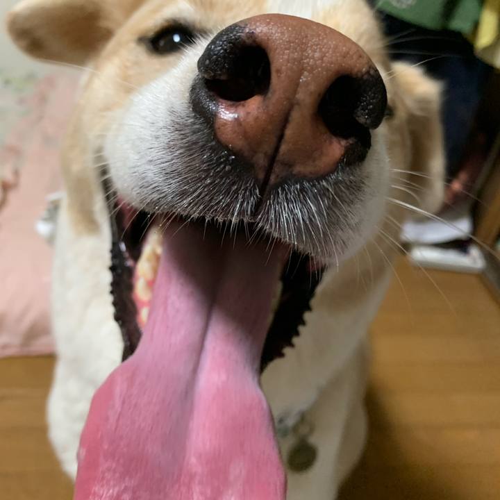 26033fb5 34c4 41eb b22c 5ce249169776 1568421781692