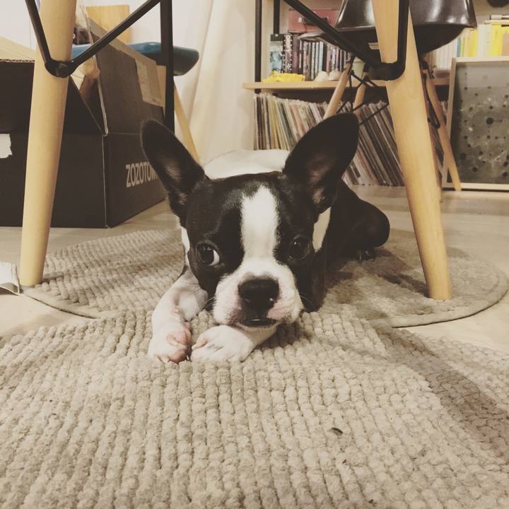 26034ae4 f15b 4d38 896d eabecd32d442 1511748419853