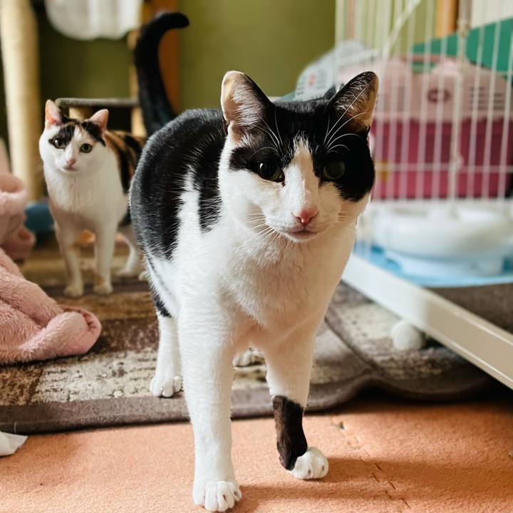 26036bfa fa3a 4c1e b525 19530ae63d5f 1619141790962