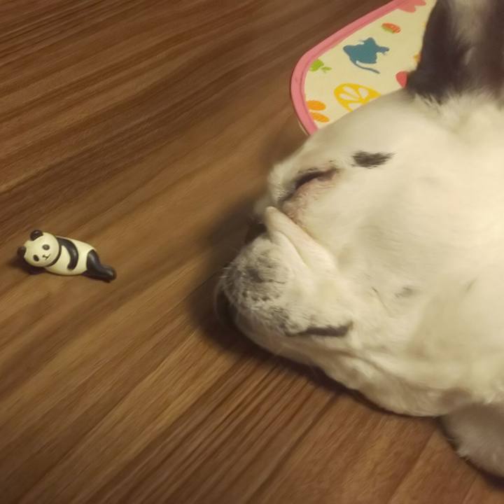 260380fc 7df1 4f5b 9dd2 a8610c060c4b 1635426849704