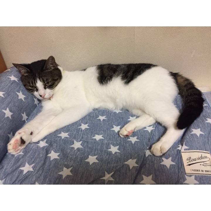 2603a21e 8ea2 4ac6 9b3f 560bf50c3b79 1528042160981