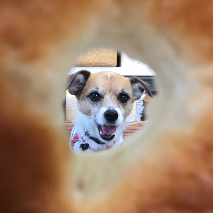 2603a70b 49ef 48cc 9e94 7547c1d521d7 1526424965276