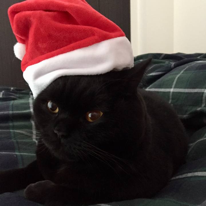 2603bdd5 61e2 4074 a7be 1b0e7c4259c7 1577145441560