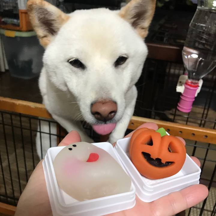 2603d607 a64d 458d ae6c e33174d9149d 1509545203450