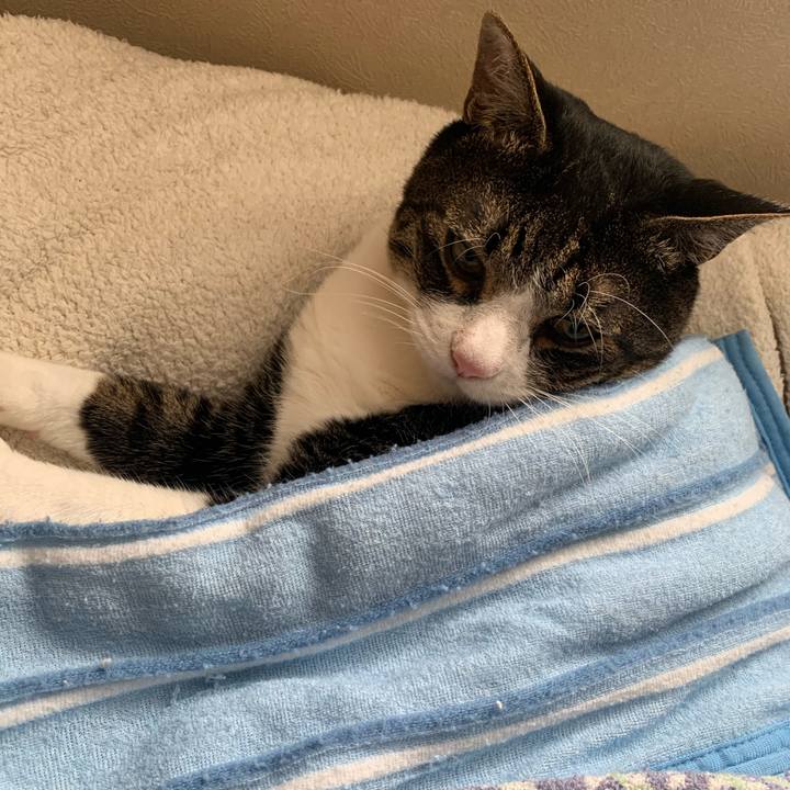 2603eac5 843c 4736 b402 1078c471c6d0 1590616777913