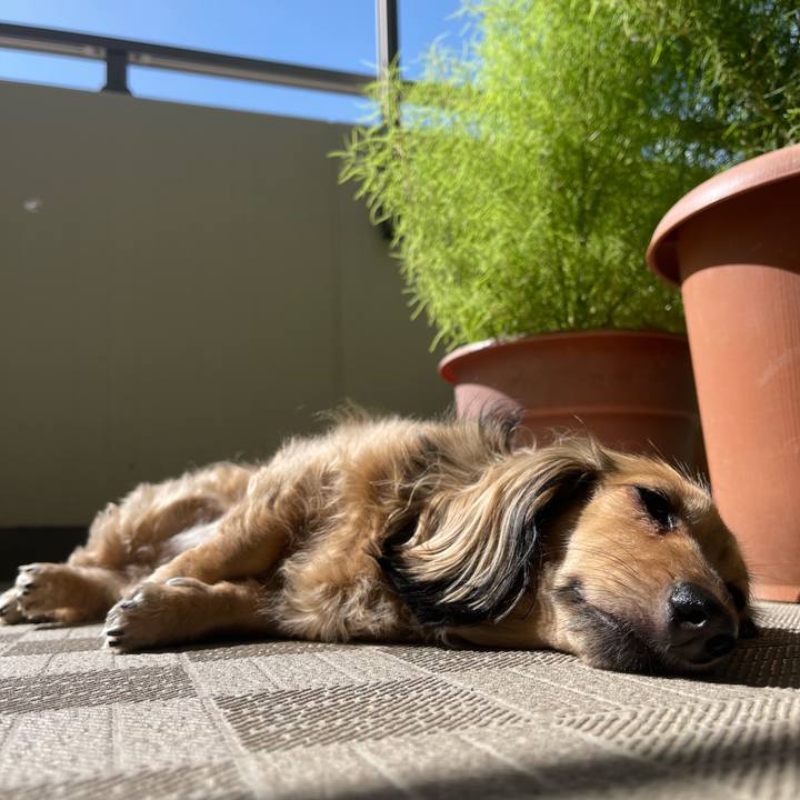 2603f526 f62d 4556 9650 a7d774317d29 1727138813733