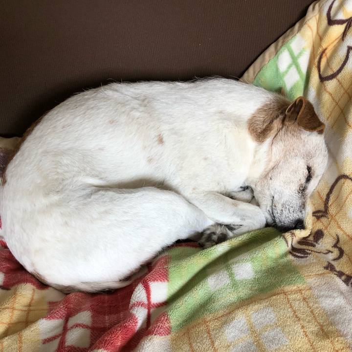 2603f73c 87f0 484a bbe4 2fba9ac33b43 1551619326350