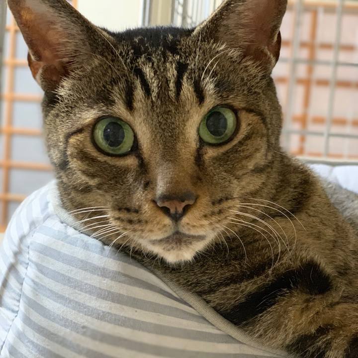 26041b18 4a6f 4195 8069 edb3327ffe8f 1538012413755