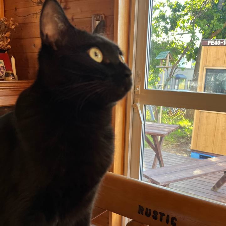 26041e99 2fab 445a 9852 0476faa54ca8 1662587397917