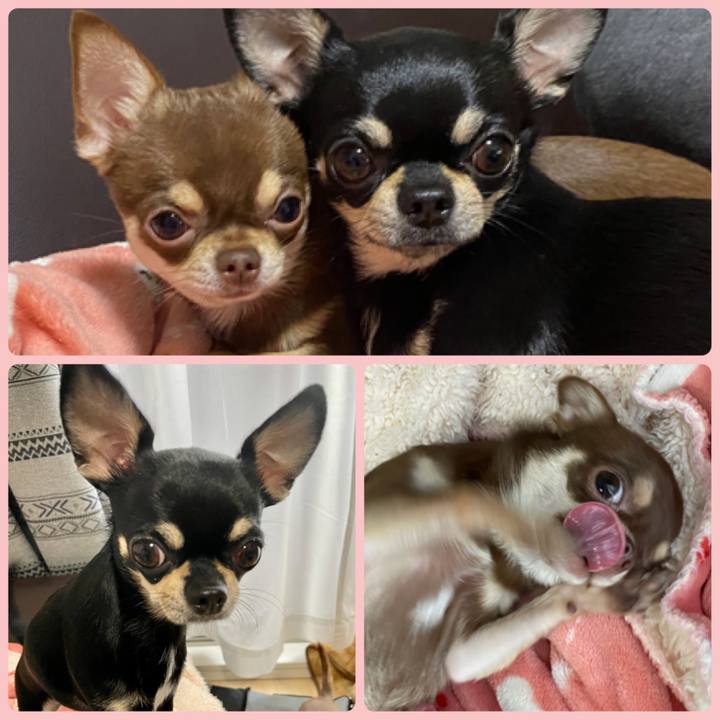 26042e51 216d 4021 a16c 891ab28699d7 1621493945562