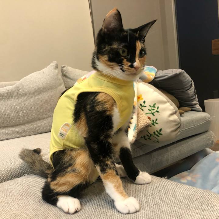 260433a0 ba60 47e4 be16 0a0c66705cf1 1643029550056