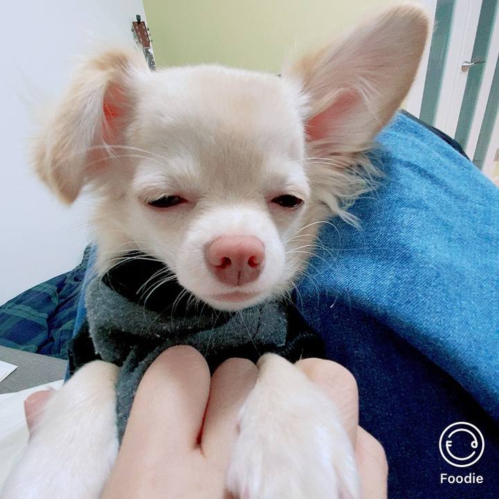 260442ad 9cbd 4a41 a2d6 aa1cb83102ff 1603964017862