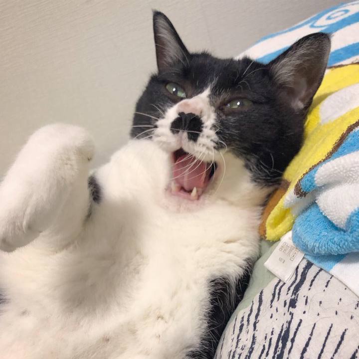 260460e1 bcdf 47aa ac4e 3810a02779fe 1599833848573