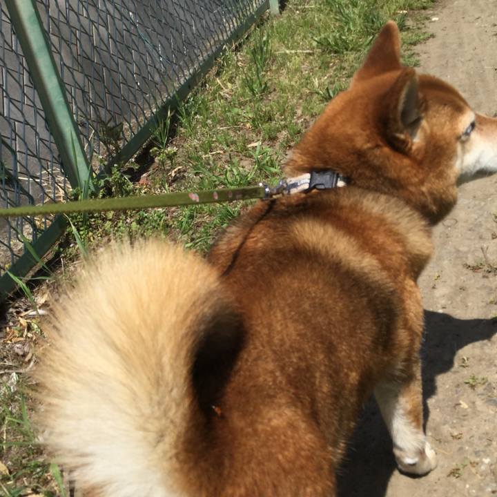 2604923d f259 499f a5ef 83fdc21d6e9c 1557029698113