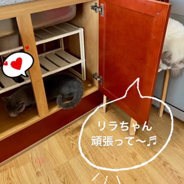 26049374 068b 4541 9961 fba96b11bce9 1668502598791