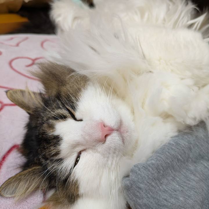 2604b955 d663 426a 80ce 6c46645eed85 1768311214374