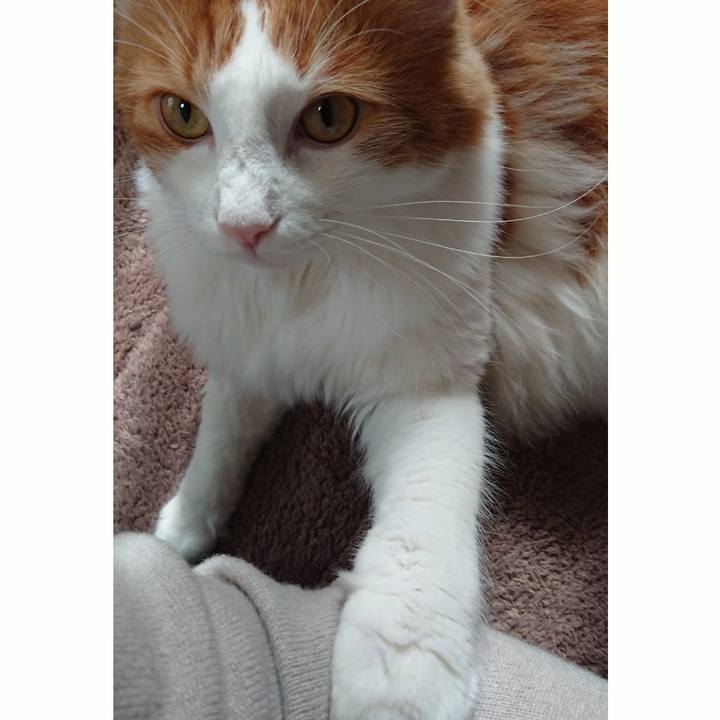 2604b9f2 be42 4731 bb36 1c2f36738f8d 1540037332181