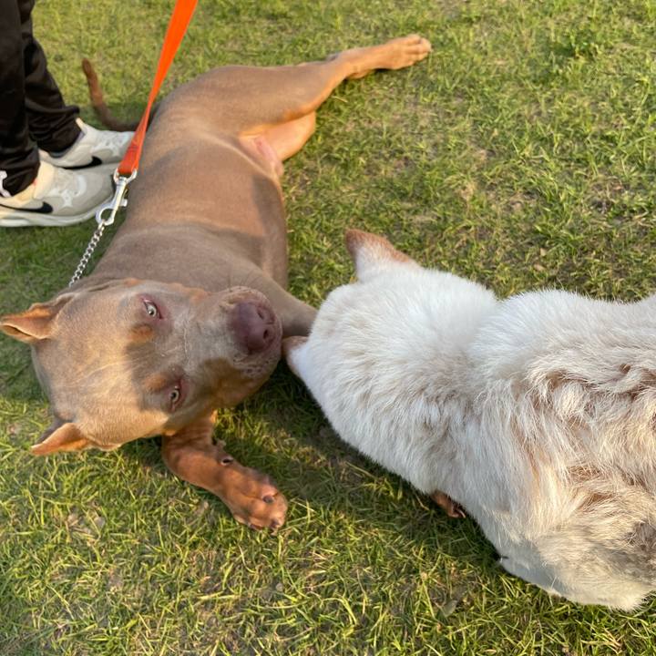 2604de65 082f 49ee 82f7 44bce64793d0 1665235636596