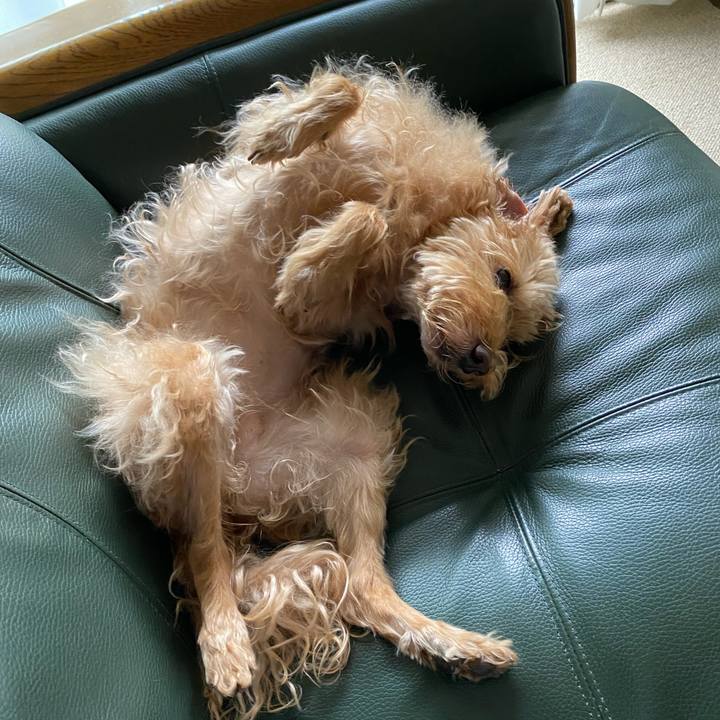 2604ec46 c070 49b5 9463 2911f9f2e1de 1691890889527