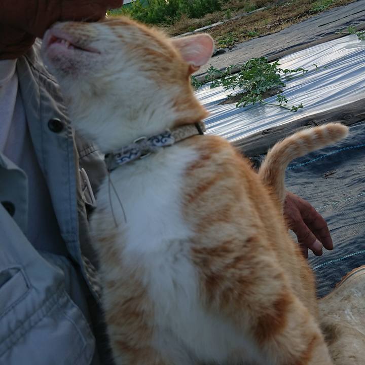 2604eddf 9cb5 4712 bd69 71a5245eb699 1592213945461