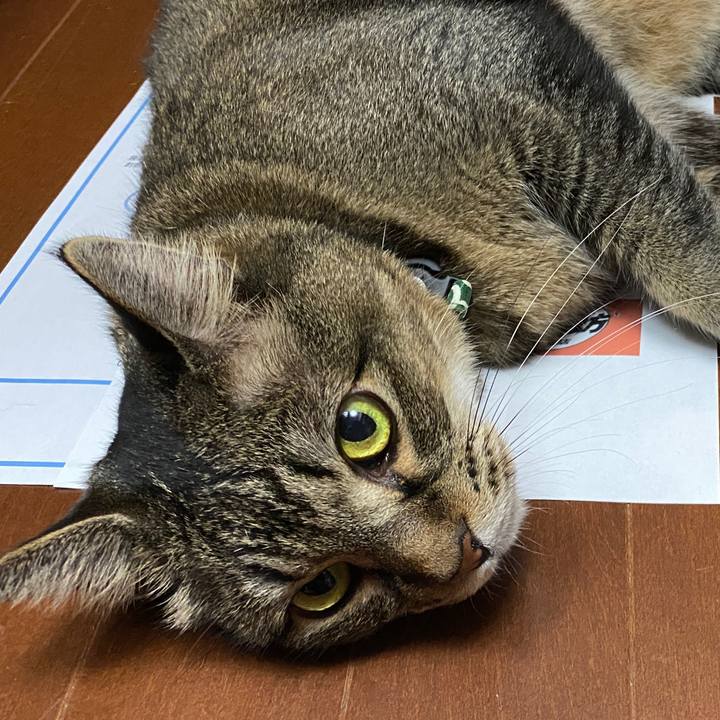 26051364 87d6 4a22 8ac9 0f1ab1b0372e 1628292970395