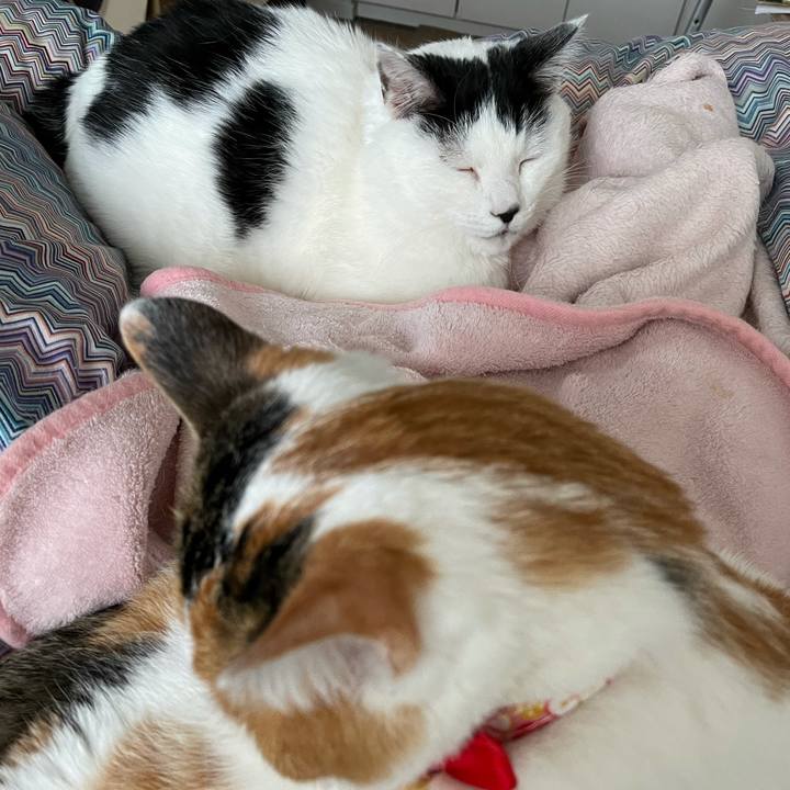 260531fe 100a 41fb b887 a22a86fd57da 1614999236069