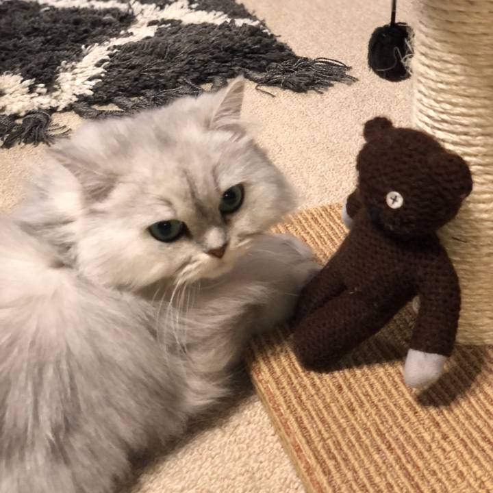 2605733d 7437 4500 b859 09ce1785f3ba 1586511680015