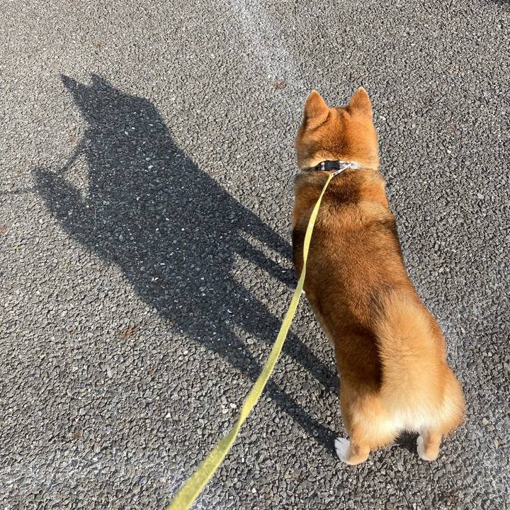 26057700 e88b 46a7 a06a e4ab84bc1139 1685525212061