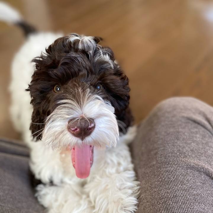 26057d81 9016 41af 8ab0 a135a586054b 1610605524136